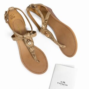 Coach Ingrid Snake Print T-Strap Wedge Sandals Natural Size 6M New